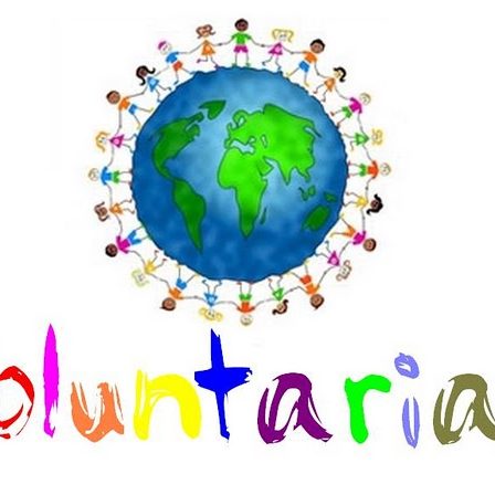 Voluntariado